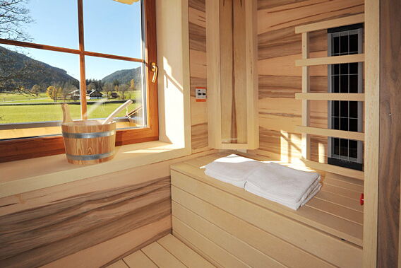 Sauna im Appartement mit wunderschöner Aussicht auf herrliche Natur und grüne Wiesen in Ramsau am Dachstein