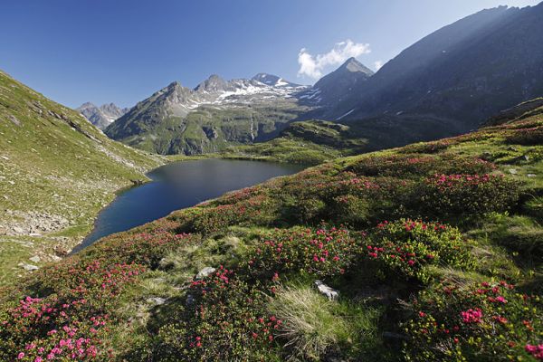 Bergsee in der Region Schladming-Dachstein