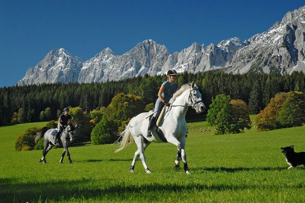 Reiten mit Blick auf den Dachstein